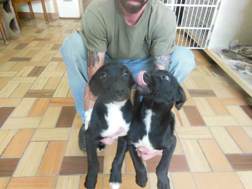 Jack and Jill BOTH ADOPTED