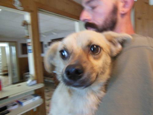 Teddy Bear !!!ADOPTED!!!!! WOO HOO!!!!
