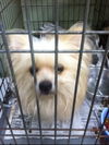 Zeldi ADOPTED WOO HOO!