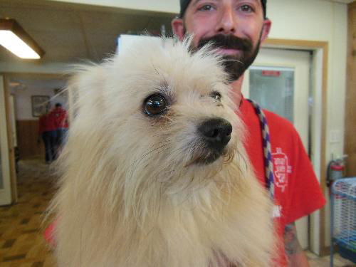 Zeldi ADOPTED WOO HOO!