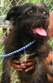 Zoe ADOPTED