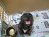 Zoe ADOPTED