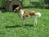 Dalilah see my new video WOO HOO ADOPTED