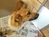 Dalilah see my new video WOO HOO ADOPTED