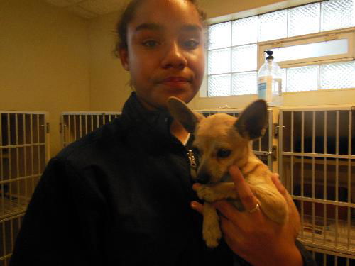 Teddy ADOPTED