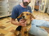 Jackson ADOPTED