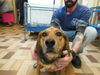 Jack WOO HOO ADOPTED!!!