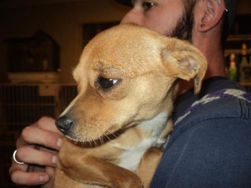Teresa ADOPTED WOO HOO!
