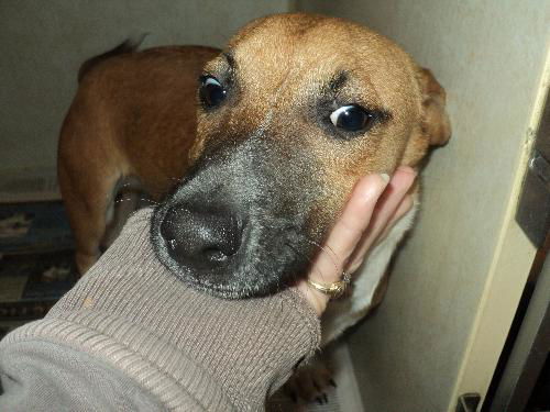 Jake ADOPTED