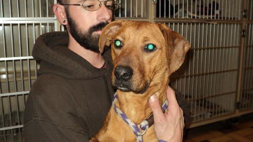 Velma ADOPTED