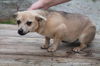 Felicity ADOPTED
