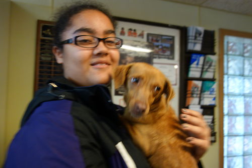 Farrah ADOPTED