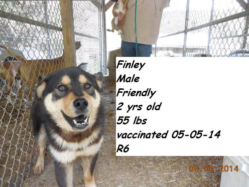 Finley ADOPTED