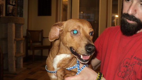 Daisy ADOPTED