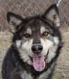 Dakota adopted