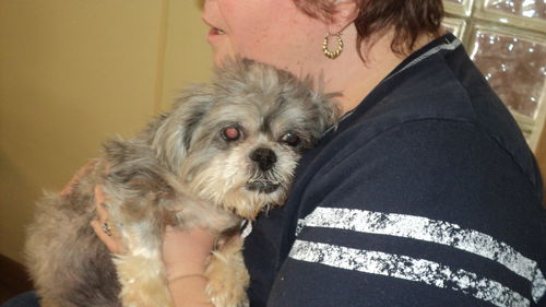 Iisac ADOPTED