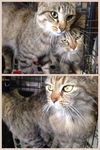 Tammy's Kids BOTH ADOPTED