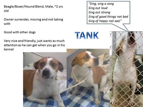 Tank ADOPTED