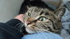 Tara WOO HOO ADOPTED!!!