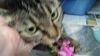 Tara WOO HOO ADOPTED!!!
