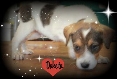 Dakota ADOPTED