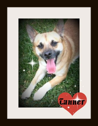Tanner ADOPTED