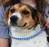 Mable ADOPTED
