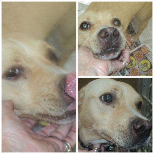 Zoey