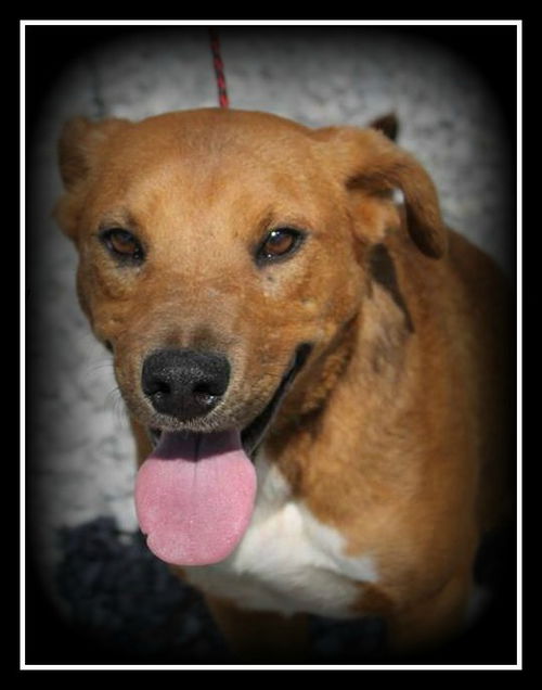 Tala ADOPTED