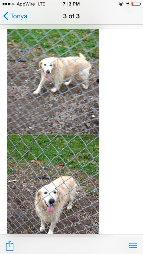 Farrah ADOPTED