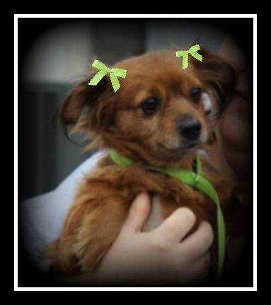 Fiona ADOPTED