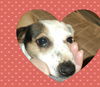 Tara ADOPTED WOO HOO