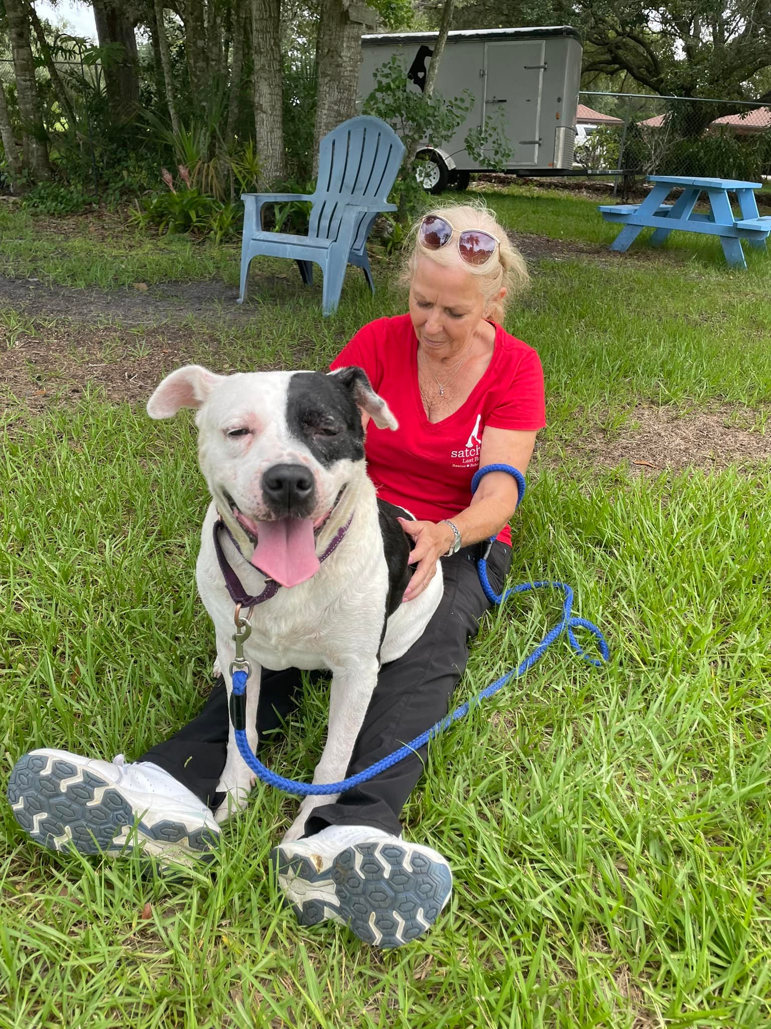 Dog for Adoption - Peppy, a Retriever in West Melbourne, FL | Alpha Paw