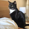 Mystique - Photo 2