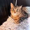 Sir Isaac Mewton - Photo 7