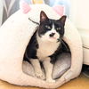 adoptable Cat in Brooklyn, NY named Mrs. Mustachio