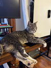 A boy called Pink Floyd - Photo 2