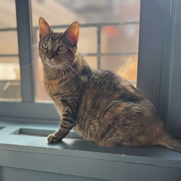 Coco