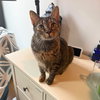 Coco - Photo 1