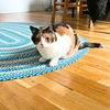 adoptable Cat in Brooklyn, NY named Bamboo