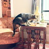 Crackerjack - Photo 5