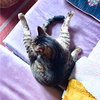Crackerjack - Photo 7