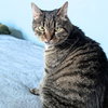 Munie - Photo 4