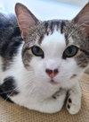 Jimmy - Photo 2