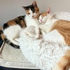 Lilo & Lau - Photo 2