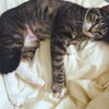 Misty - Photo 5