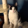 Lil' Sir - Photo 4