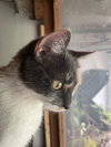 Sophie Steward - Photo 5