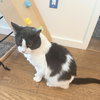 Oscar - Photo 3