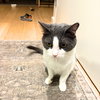 Oscar - Photo 4